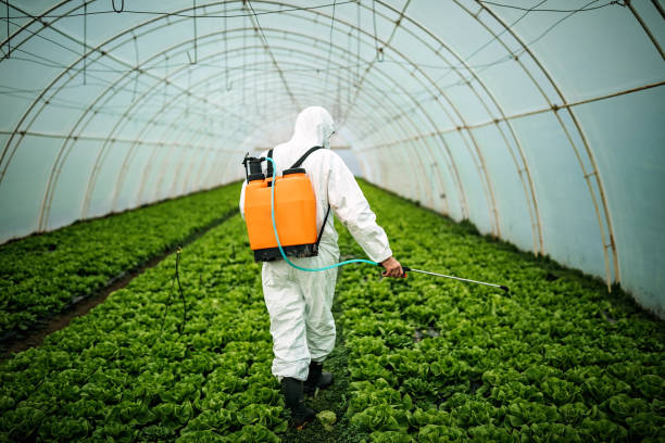 Best Pest Control for Homes  in Portland, TN