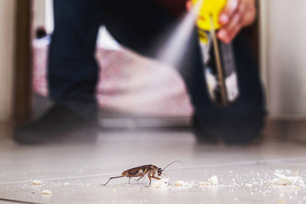 Best Pest Prevention Services  in Portland, TN